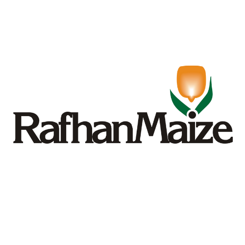 Untitled design - 2026-02-04T164124.626